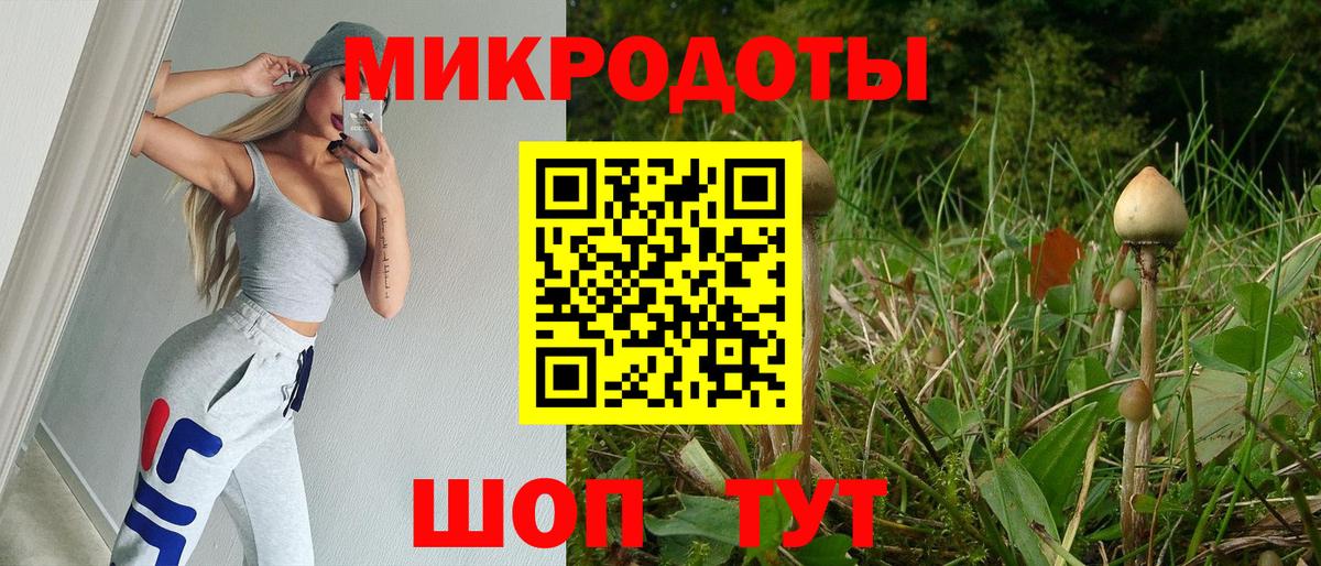 Галлюциногенные грибы GOLDEN TEACHER  Галлюциногенные грибы мицелий  Муром  Вход с VPN 